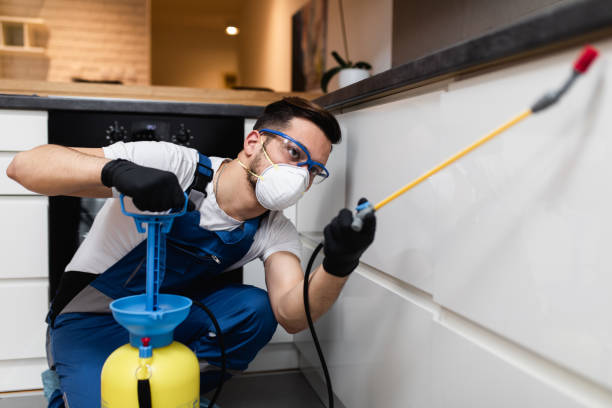 Best Pest Control Cost  in Seco Mines, TX