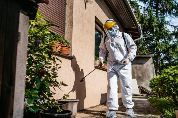 Best Best Pest Control Companies  in Seco Mines, TX