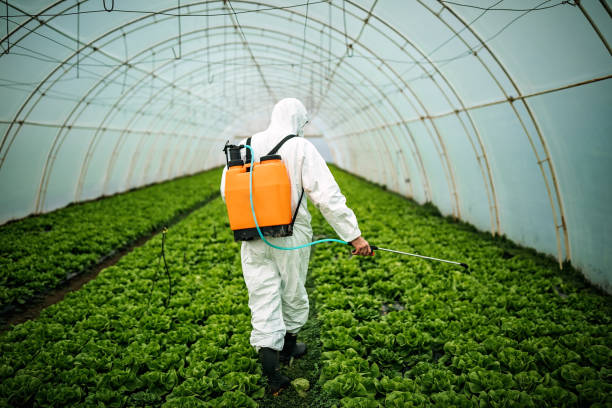 Reliable Seco Mines, TX Pest Control Solutions