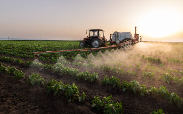 Best Local Pest Control Services  in Seco Mines, TX