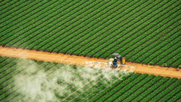 Best Pest Control Treatment  in Seco Mines, TX