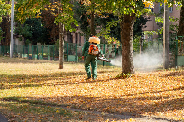 Best Emergency Pest Control  in Seco Mines, TX
