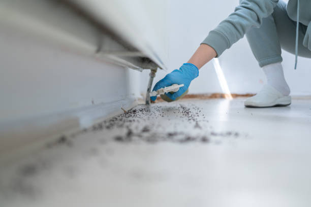 Pest Control Cost in Seco Mines, TX