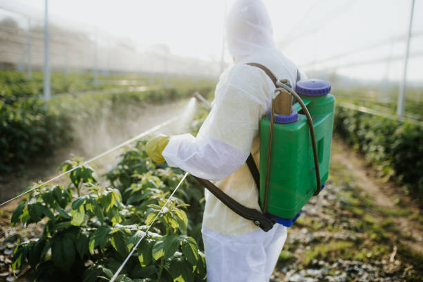 Best Emergency Pest Control  in Seco Mines, TX